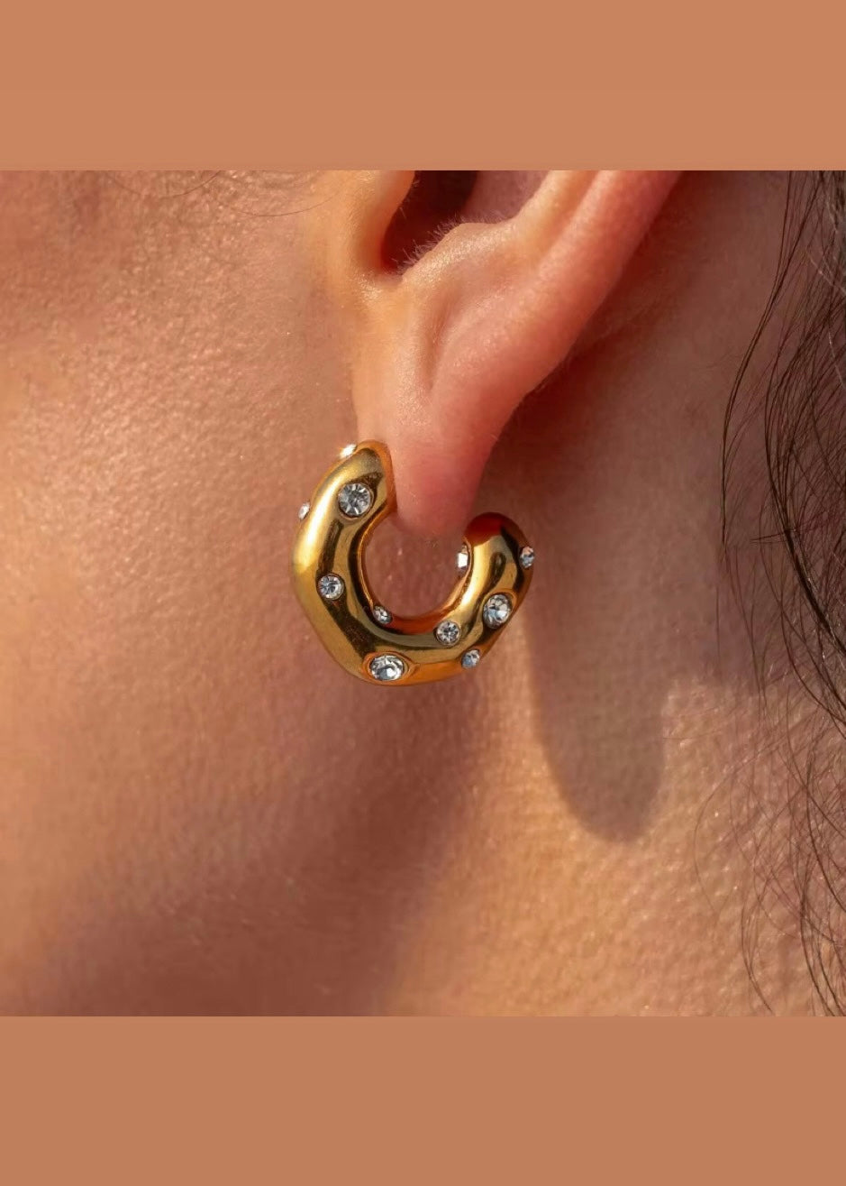 Erin hoops