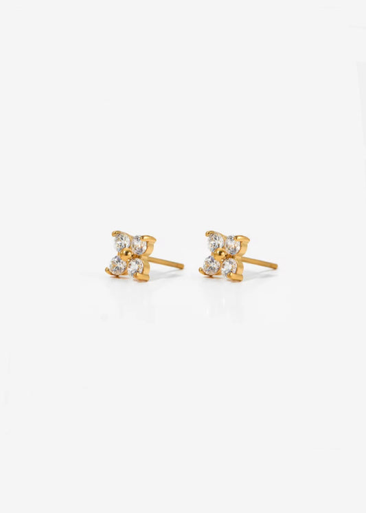 Belle studs
